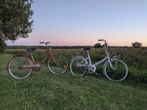Drumlin Cycle