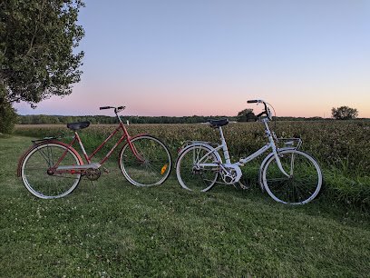 Drumlin Cycle