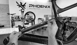 Phoenix protection