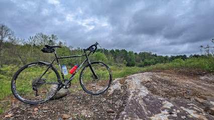 Thorn Cycles