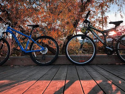 Only Wrench Cycling Solutions