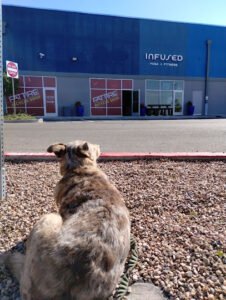 Fat Tire Cycles – Foothills